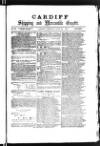 Cardiff Shipping and Mercantile Gazette Monday 24 July 1876 Page 1