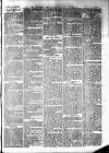 Trowbridge Chronicle Saturday 22 June 1861 Page 3