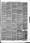 Trowbridge Chronicle Saturday 14 November 1863 Page 3
