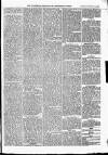 Trowbridge Chronicle Saturday 14 November 1863 Page 5