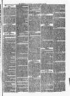 Trowbridge Chronicle Saturday 20 February 1864 Page 7