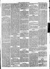 Trowbridge Chronicle Saturday 19 October 1867 Page 5