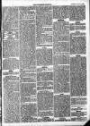 Trowbridge Chronicle Saturday 03 January 1874 Page 5