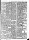 Trowbridge Chronicle Saturday 13 February 1875 Page 5