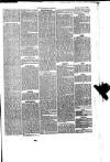 Trowbridge Chronicle Saturday 01 January 1876 Page 5