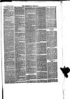 Trowbridge Chronicle Saturday 29 January 1876 Page 3