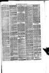 Trowbridge Chronicle Saturday 11 March 1876 Page 7