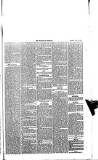 Trowbridge Chronicle Saturday 15 April 1876 Page 5