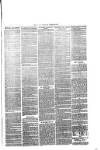 Trowbridge Chronicle Saturday 27 May 1876 Page 3