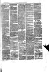Trowbridge Chronicle Saturday 15 July 1876 Page 7