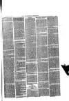 Trowbridge Chronicle Saturday 05 August 1876 Page 7