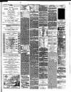 Trowbridge Chronicle Saturday 08 April 1899 Page 3
