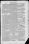 Uttoxeter New Era Wednesday 19 December 1855 Page 5