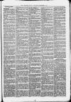 Uttoxeter New Era Wednesday 17 December 1873 Page 3