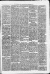 Uttoxeter New Era Wednesday 24 December 1873 Page 5