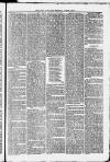 Uttoxeter New Era Wednesday 06 January 1875 Page 5