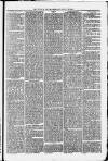 Uttoxeter New Era Wednesday 20 January 1875 Page 5