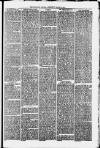 Uttoxeter New Era Wednesday 31 March 1875 Page 5