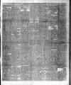 Barbados Herald Thursday 15 January 1885 Page 3