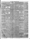 Trinidad Chronicle Tuesday 23 May 1865 Page 3