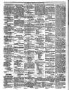 Trinidad Chronicle Friday 02 March 1866 Page 4