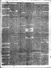 Trinidad Chronicle Friday 07 March 1873 Page 3