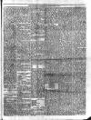 Trinidad Chronicle Tuesday 02 February 1875 Page 3