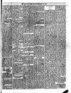 Trinidad Chronicle Friday 12 February 1875 Page 3