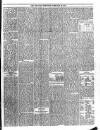 Trinidad Chronicle Tuesday 16 February 1875 Page 3