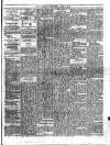 Trinidad Chronicle Tuesday 06 April 1875 Page 3