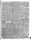 Trinidad Chronicle Tuesday 01 June 1875 Page 3