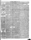 Trinidad Chronicle Friday 25 June 1875 Page 3