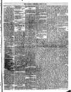 Trinidad Chronicle Tuesday 29 June 1875 Page 3