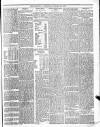 Trinidad Chronicle Friday 12 January 1877 Page 3