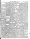 Trinidad Chronicle Saturday 21 July 1877 Page 3