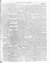 Trinidad Chronicle Saturday 28 July 1877 Page 3
