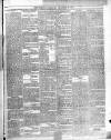 Trinidad Chronicle Saturday 29 December 1877 Page 3
