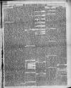 Trinidad Chronicle Saturday 19 January 1878 Page 3