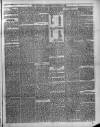 Trinidad Chronicle Wednesday 23 January 1878 Page 3