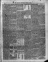 Trinidad Chronicle Saturday 26 January 1878 Page 3