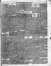 Trinidad Chronicle Saturday 11 May 1878 Page 3