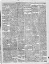 Trinidad Chronicle Saturday 25 May 1878 Page 3