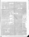 Trinidad Chronicle Saturday 25 January 1879 Page 3