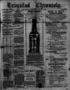 Trinidad Chronicle Wednesday 05 January 1881 Page 1