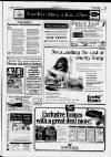 Chester Chronicle (Frodsham & Helsby edition) Friday 24 March 1995 Page 41