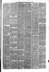 Witness (Belfast) Friday 09 January 1885 Page 3