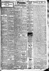 Witness (Belfast) Friday 01 May 1925 Page 3