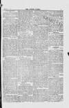 Jewish World Friday 02 March 1877 Page 3