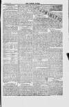 Jewish World Friday 20 April 1877 Page 3