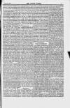 Jewish World Friday 20 April 1877 Page 5